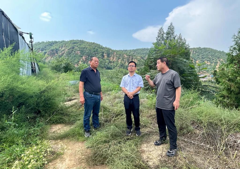 AG·尊龙凯时 - 人生就是搏!