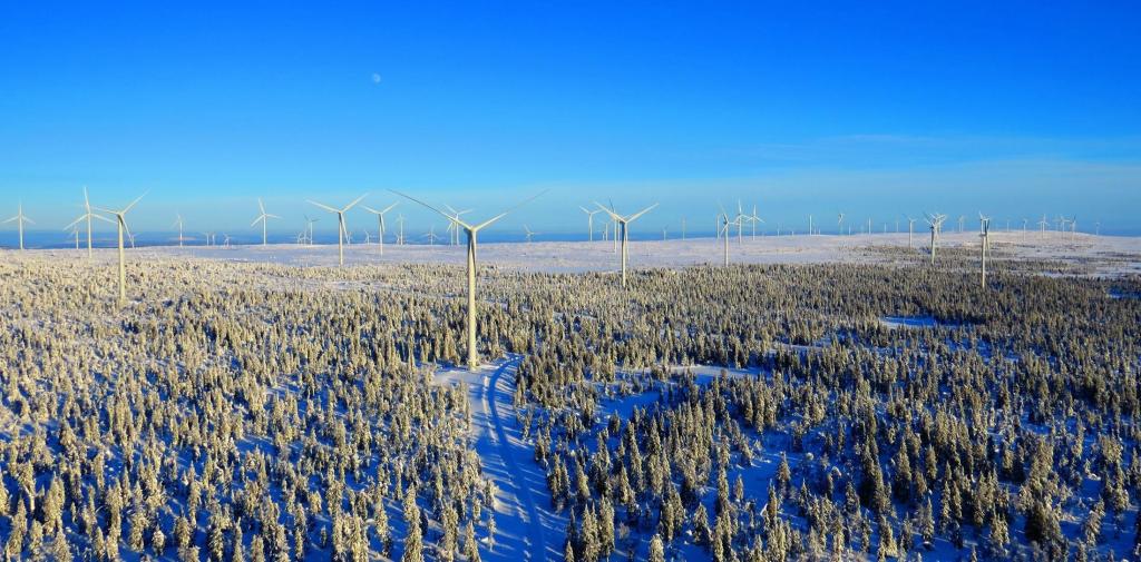 AG·尊龙凯时 - 人生就是搏!