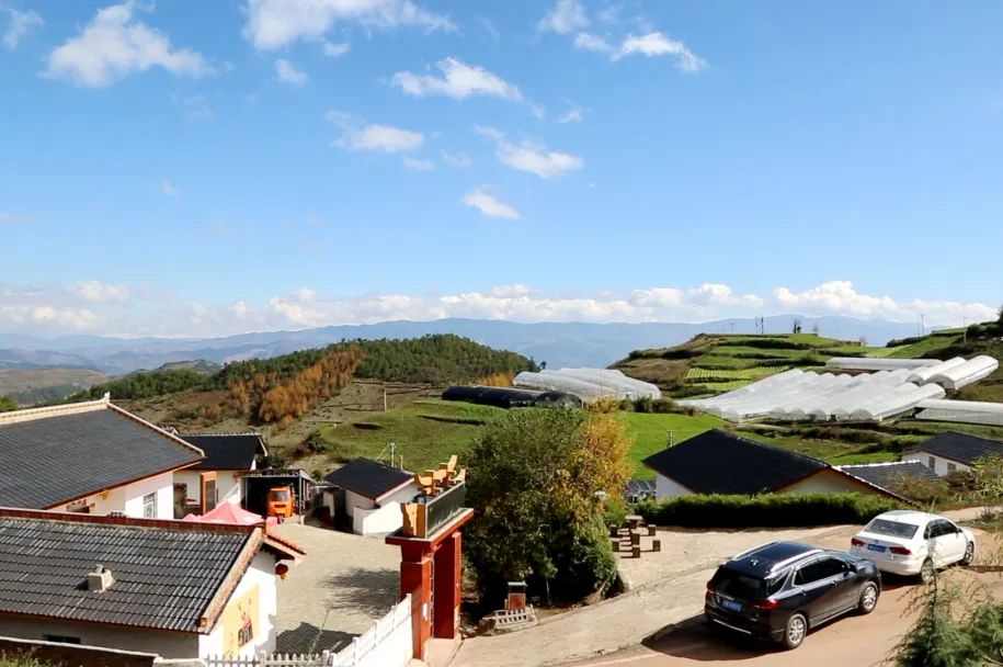 AG·尊龙凯时 - 人生就是搏!