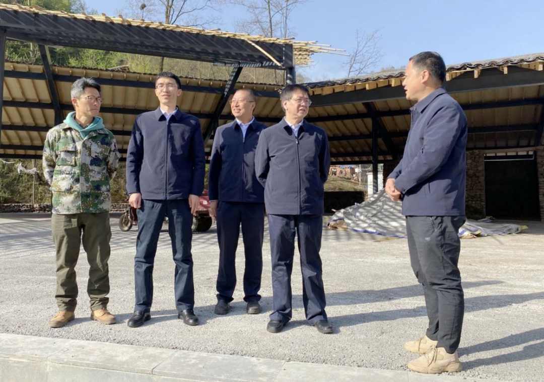 AG·尊龙凯时 - 人生就是搏!